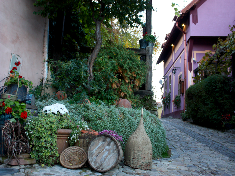 Segesvár