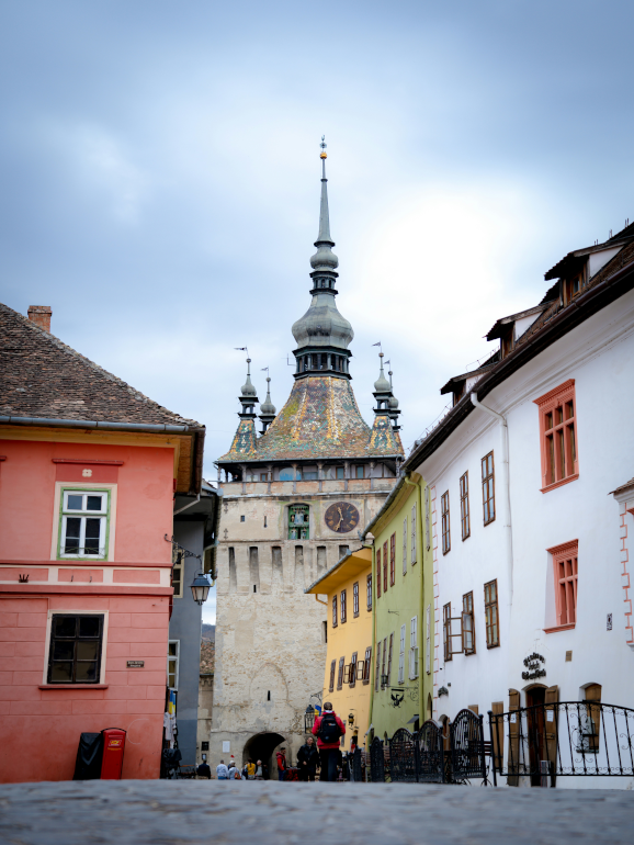 Segesvár, általánosan